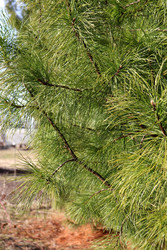 Similar image 22156212