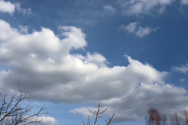 Similar image 22156213