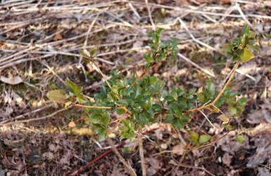 Similar image 22156215