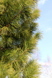 Similar image 22158075