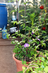 Similar image 22161304