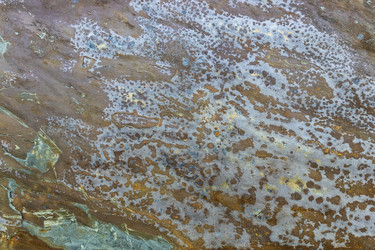 Similar image 22141359