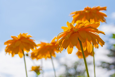 Similar image 22142018