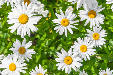 Similar image 22142019