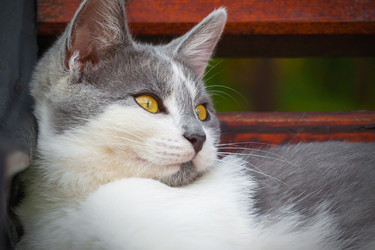 Similar image 22142022