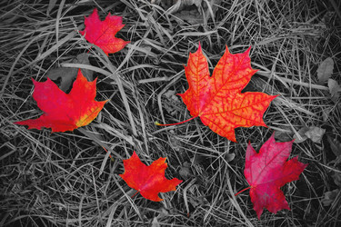 Similar image 22142027