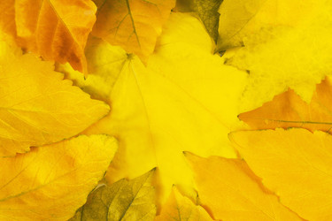 Similar image 22142033