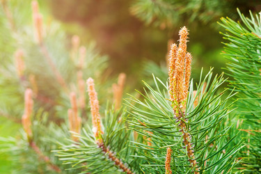 Similar image 22142035