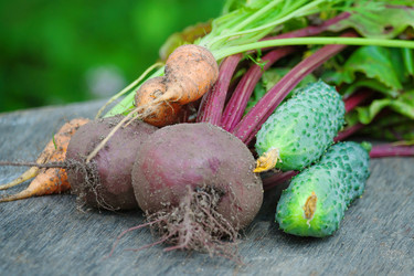 Similar image 22142036