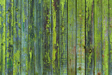 Similar image 22142037