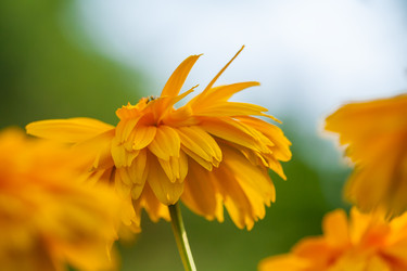 Similar image 22142052