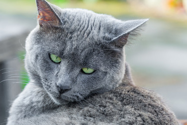 Similar image 22142054