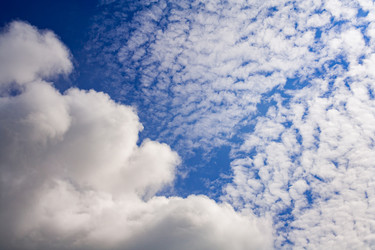 Similar image 22142058