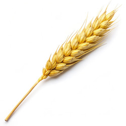 Similar image 22154193