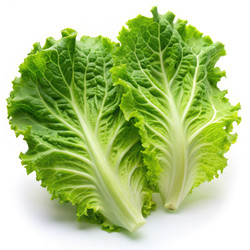 Similar image 22154207