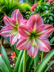 Similar image 22154210