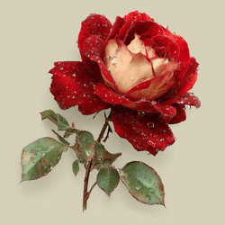 Similar image 22140971