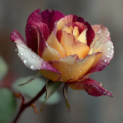 Similar image 22140974