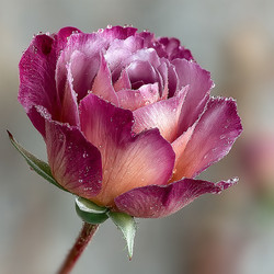 Similar image 22140976