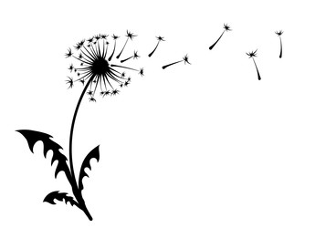 Similar image 22141364