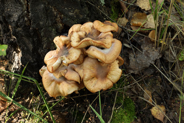 Similar image 22140998