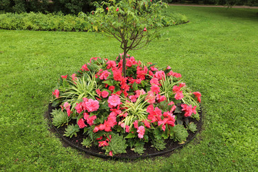 Similar image 22141003