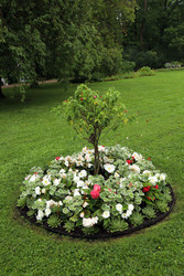 Similar image 22141004