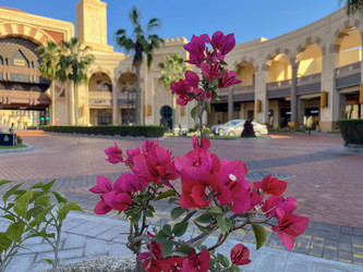 Similar image 22149512