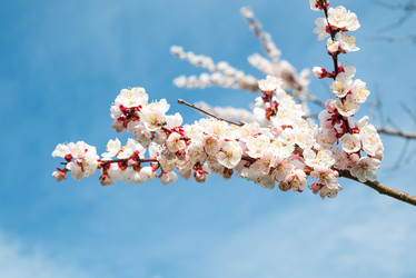 Similar image 22141765