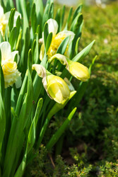 Similar image 22141766