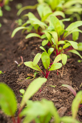 Similar image 22141769