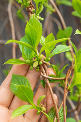 Similar image 22141770