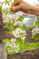 Similar image 22141771