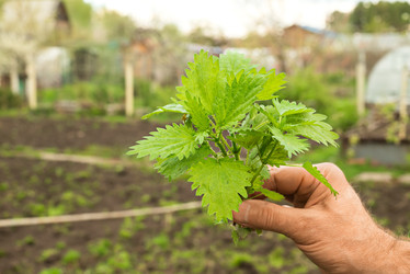 Similar image 22141772