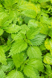 Similar image 22141773