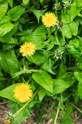 Similar image 22141774