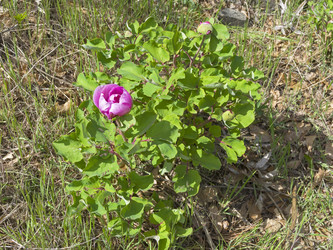 Similar image 22141399