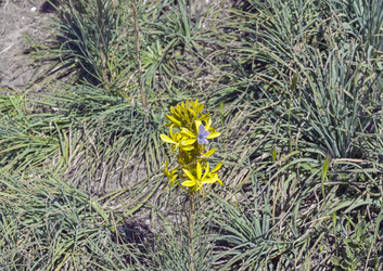 Similar image 22141400