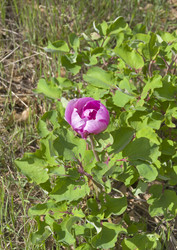 Similar image 22141401