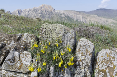 Similar image 22141402