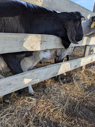 Similar image 22141404