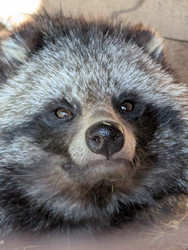 Similar image 22141405