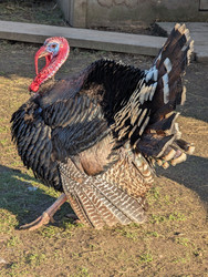 Similar image 22141406