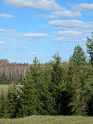 Similar image 22141407