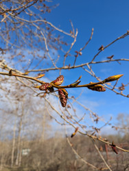 Similar image 22141408