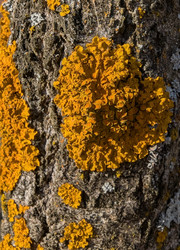 Similar image 22141410