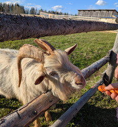 Similar image 22141412