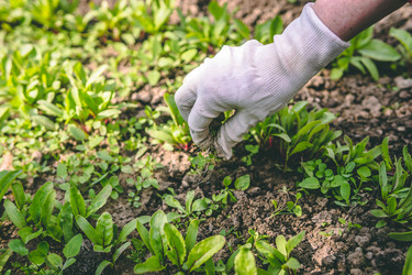 Similar image 22149205