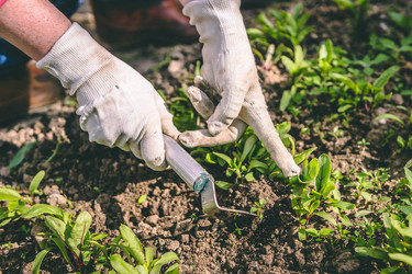 Similar image 22147893