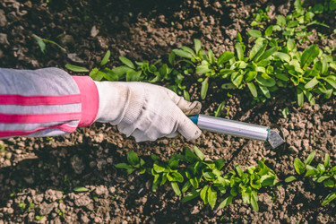 Similar image 22144057